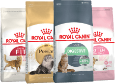 feline_health